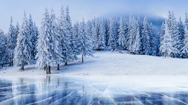 Winter-Favoriten